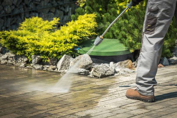 Best Winterizing Services  in Houston, MS
